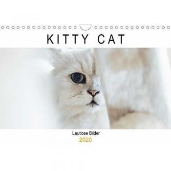Kitty Cat