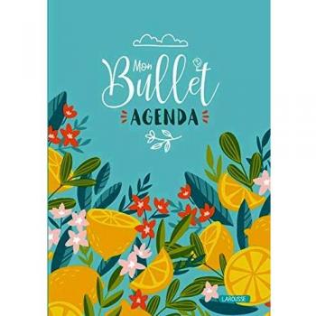 Mon bullet agenda 2020