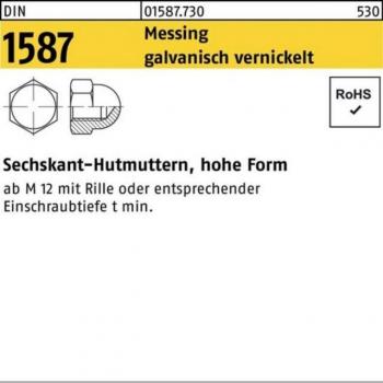 Messinge Sechskanthutmuttern M 6 – DIN 1587, 100 Stk., galvanisch vernickelt