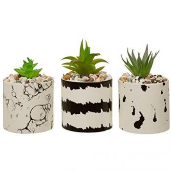 Orsina Botanical Trio – 3 Succulents in White & Black