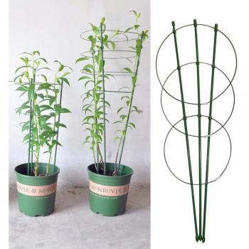 Support de vigne durable