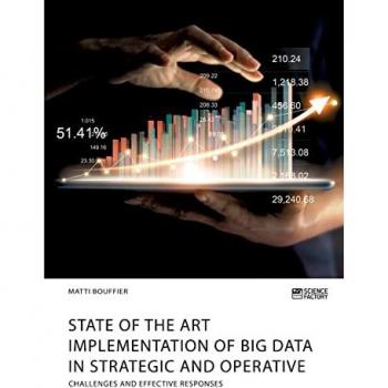 Bouffier, Matti: State of the Art Implementation of Big Data in Strategic and Operative Marketing. Challenges and Effective Responses