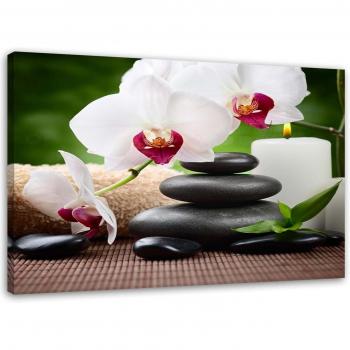 Décoration Murale Orchidées Zen 60x40