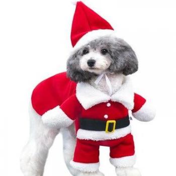 Winter Warm Santa Suit for Dogs and Cats
