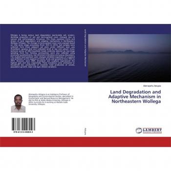 Land Degradation and Adaptive Mechanism in Northeastern Wollega