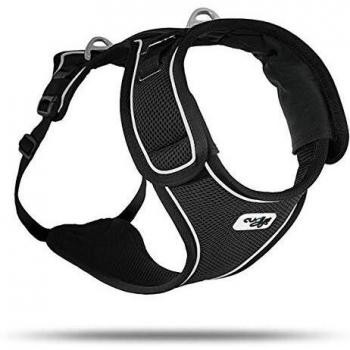 Curli Belka Black Harness for Small Dogs