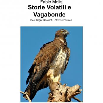 Storie volatili e vagabonde. Idee, sogni, racconti, lettere e pensieri