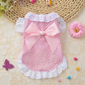 Vêtements de cérémonie pour chat