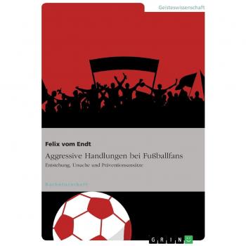 Vom Endt, Felix: Aggressive Handlungen bei Fußballfans