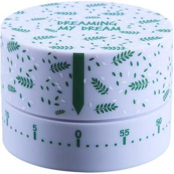 Temporizador de 60 minutos