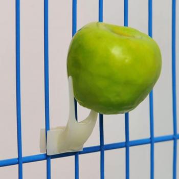 Cage Feeding Forks for Birds