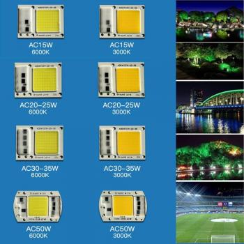 15W/20W/30W/50W LED Garden Night Light 220V 3000-6000K