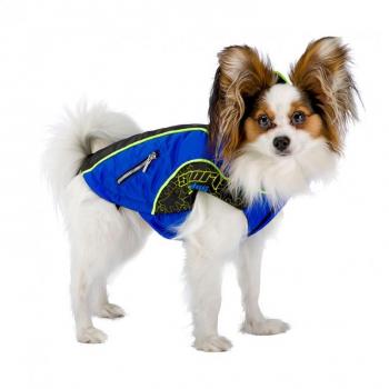 Manteau Bleu pour Chiens Équipe avec Micropolaire