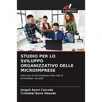 Ayoví Caicedo, Jorgeli: STUDIO PER LO SVILUPPO ORGANIZZATIVO DELLE MICROIMPRESE