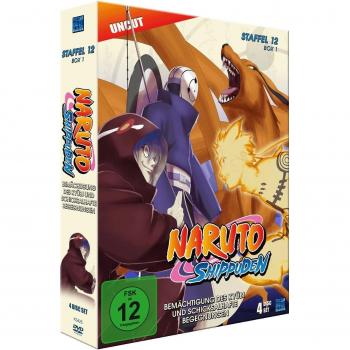 NARUTO SHIPPUDEN