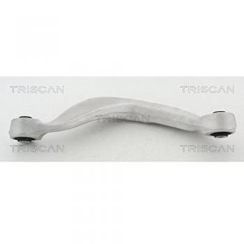 Triangle de suspension TRISCAN 8500 295143