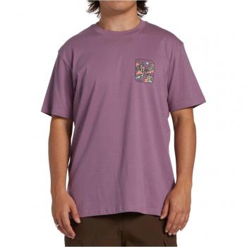 Billabong Shine T-Shirt plum