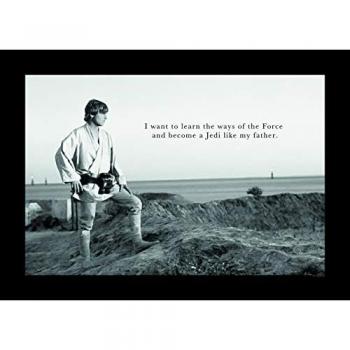 Luke Skywalker Motiv‑Poster – Komar Edition