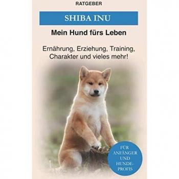Shiba Inu: Erziehung, Training und Charakter von Shiba Inu