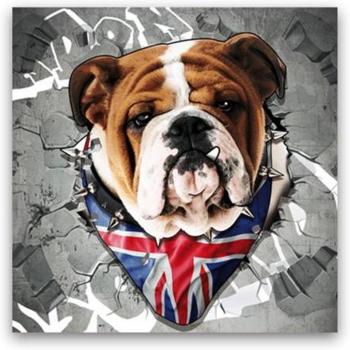 40x40 CM Bulldog Art Print – Lily Collection