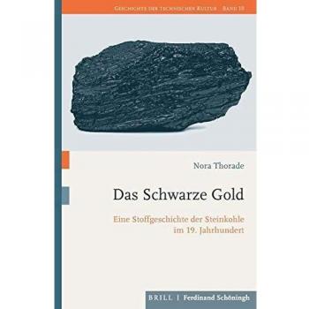 Das Schwarze Gold: Eine Stoffgeschichte der Steinkohle im 19. Jahrhundert (Geschichte der technischen Kultur)