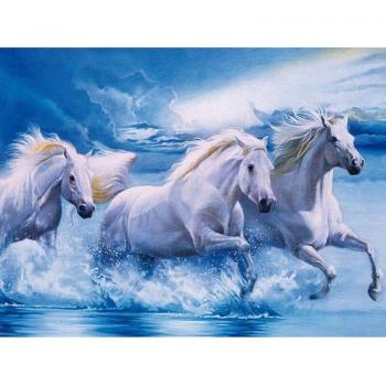 Art en strass 5D cheval sur la plage 20X30CM