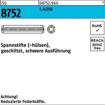 Perna Iso 8752 6x28 1.4310 Heavy Duty
