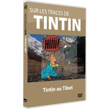 Sur Les Traces De Tintin
