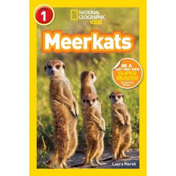 Meerkats