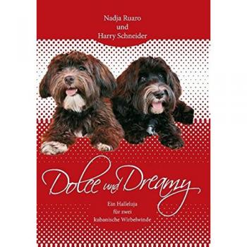 Dolce und Dreamy: Ein Halleluja für zwei kubanische Wirbelwinde
