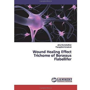 Wound Healing Effect Trichome of Borassus Flabellifer