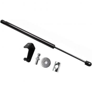 Ford Fiesta Mk7 Carbon Fiber Gas Struts for Hood