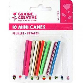 Mini canes Assortiment Champignons x 10 p