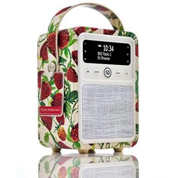 VQ Monty DAB/DAB+ Digital Radio & Bluetooth Speaker