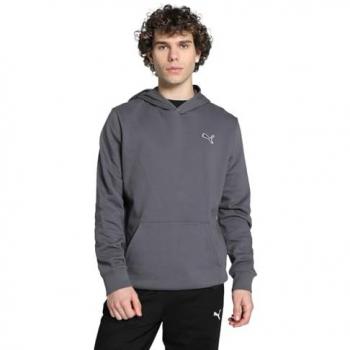 Puma Essential Hoodie Herren dunkelgrau