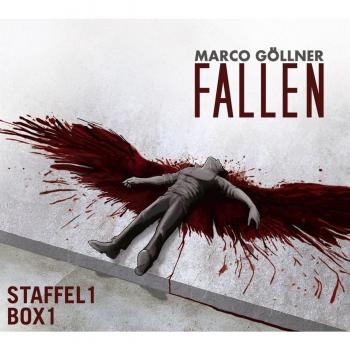 Marco Göllner Fallen