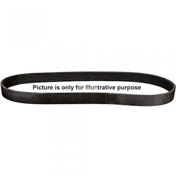 1118111700 V‑Ribbed Belt (JP Group)