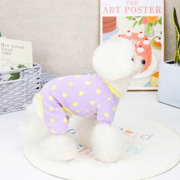 Pantalon à pois pour chien