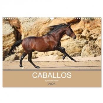 Caballos Spanische Pferde 2025 (Wandkalender 2025 DIN A3 quer) CALVENDO Monatskalender