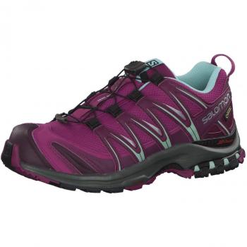 Salomon XA Pro 3D GTX, Chaussures de Trail Femme Violet 37 1/3 EU