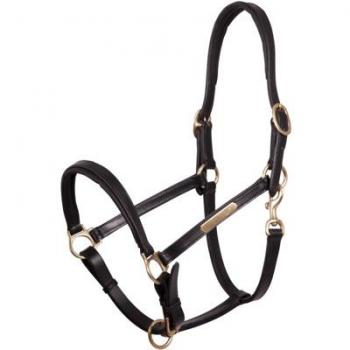 Leather Halter for Horses by Premiere Equitation