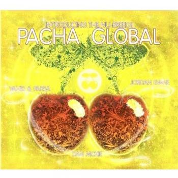 Pacha global 2011