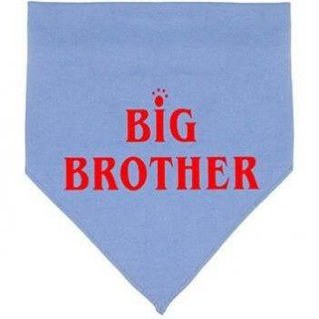 BIG BROTHER Pet Bib