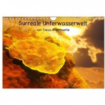 Surreale Unterwasserwelt Wandkalender 2024 DIN A4 quer