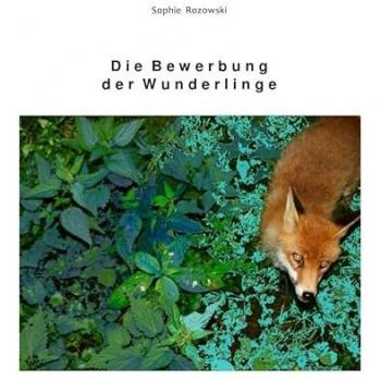 Die Bewerbung der Wunderlinge