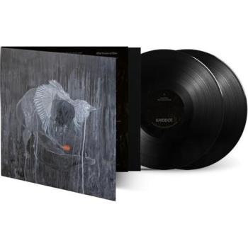 Kayo Dot Alle Felsen, Alle Halbwahrheiten unter Vernunft LP bunt