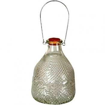 Piège à guêpes en verre clouté