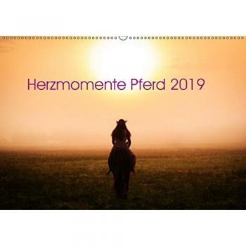 Herzmomente Pferd 2019