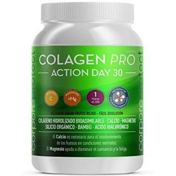 Colágeno Pro Acción Día 30 300gr Corpore Protect