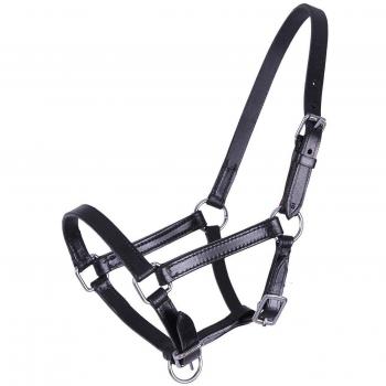 QHP Chico Foal Collar – Cob Black Finish
